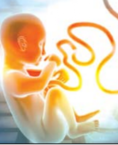 गर्भावस्थेत बाळाची वाढ कशी हाेते?